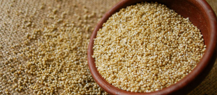 genoma de la quinoa